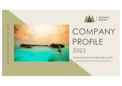 BB COMPANY+PROFILE 2021 med+compressed
