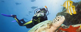 luckxus ocean stk 28087501 luckxus ocean stk 28087501