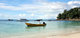 contadora anuvito 8284